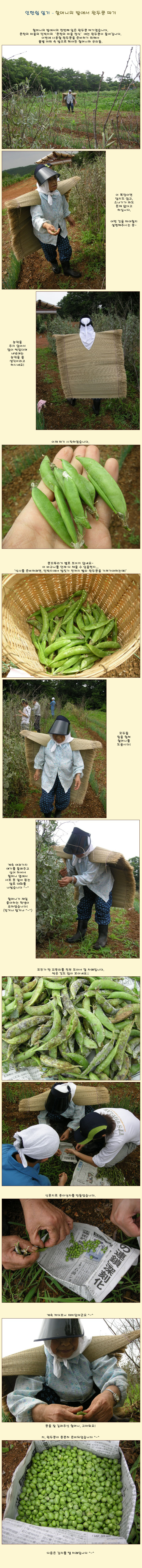 [�Ϻ���] ���Ͻ� �ϱ� - �ҸӴ��� �翡�� �ϵ��� ����